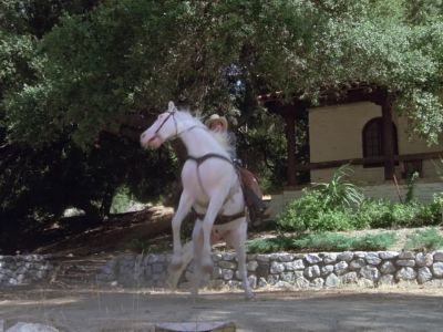 [neighing] - The A-Team
