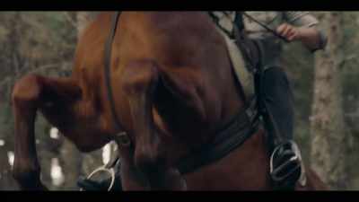 - [NEIGHS]
- [BARKS] - Mystic