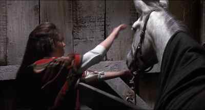 (neighs) - Alice's Restaurant