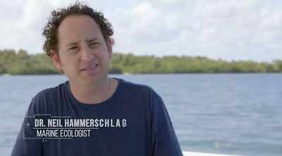 NEIL: Humans have this perception that
the sharks can go after whatever they want - Shark Attack Files