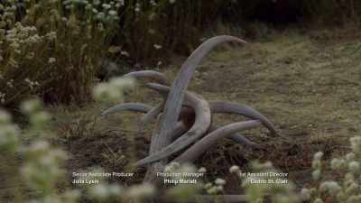 Neither one yielding, - Elkhorn