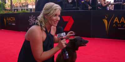 NELSON: The film was nominated
at the first AACTAs - Koko: A Red Dog Story