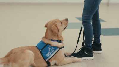 Nemo is very much in love with life. - Inside the Mind of a Dog