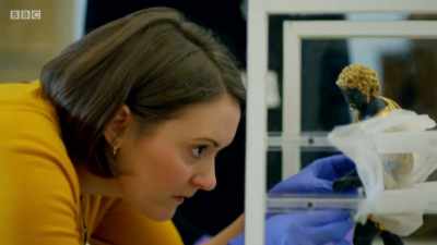 Nerves don't help. - Secrets of the Museum