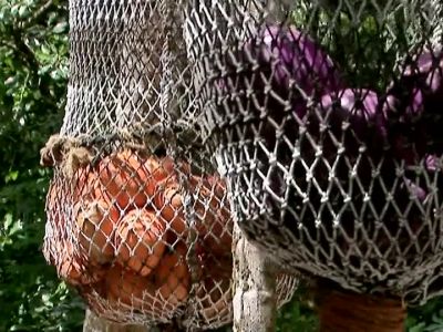 "Nets starting to get heaviernow. - Survivor