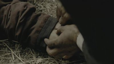 Network's down. - Westworld