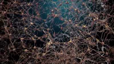 Neurons in the brain communicate
through electricity - Human: The World Within