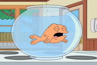 Never cry over a whore Steve Never - American Dad!