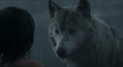 Never forget thisYou're mineMine to meNo matter where you go or what they may call youyou will always bemy son - The Jungle Book