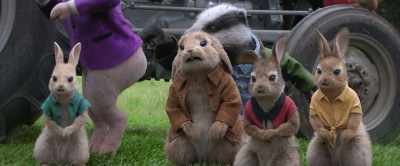 "Never go into
McGregor's garden." - Peter Rabbit