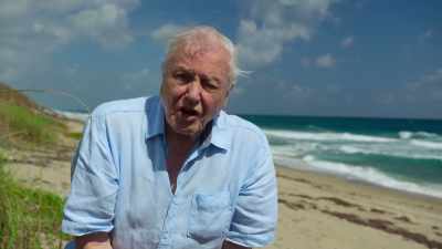 Never before have we had
such an awareness - Blue Planet II