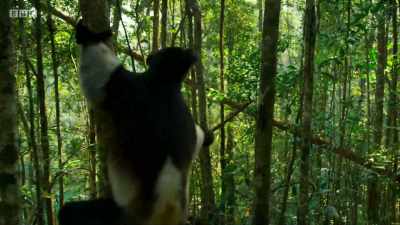 Never before in the history
of humankind... - Planet Earth: A Celebration
