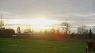 ♪ ...Never known a heart
That was so kind ♪ - Love in the Forecast