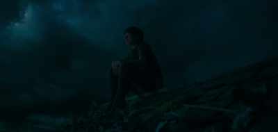 Never land... just wasn't good enough
for him, I guess. - Peter Pan & Wendy