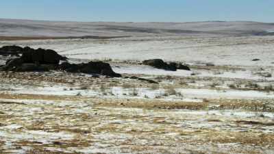 Never mind. There are plenty more. - Frozen Planet II