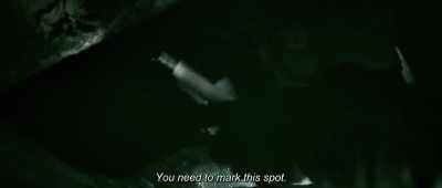 Never mind. You can do an
extra-long stop on your next dive. - Breaking Surface