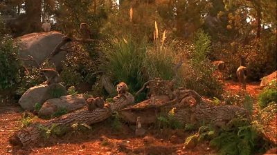 Never more - Dr  Dolittle 2