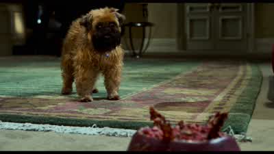 Never, never dogs. - As Good as It Gets