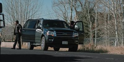 - Never seen anything like it. - Yellowstone