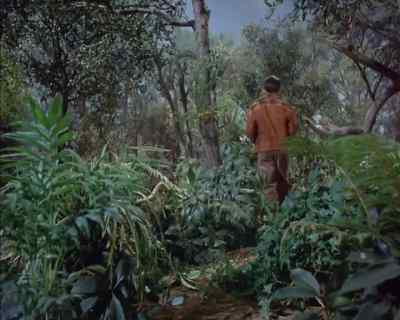 Never thought I'd be happy
to see a giant. - Land of the Giants