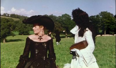 Neville Why is this Dutchman wagging his arms about - The Draughtsman's Contract