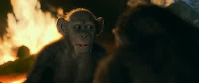 New friends. - War for the Planet of the Apes