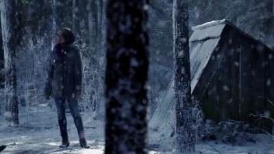 New leaf? - The Vampire Diaries