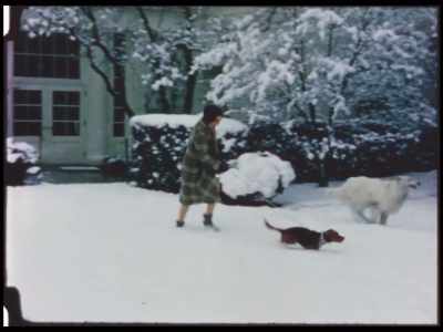 New Year's Day began for me - The Lady Bird Diaries