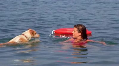 -NEWMIE: WHAT IS
THIS, A DOG RESCUE? - Baywatch