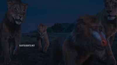 News or footage. Keyword, "Hulk." - Mufasa: The Lion King