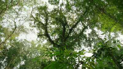 [ News theme music plays ] - When Nature Calls with Helen Mirren