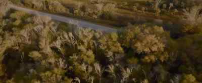 NEWSCASTER 1:
Human remains found - The Man in the White Van
