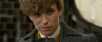 NEWT: Um... - Fantastic Beasts: The Crimes of Grindelwald