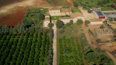 Next to Arianna's vineyard
lie abandoned farms, - Stanley Tucci: Searching for Italy