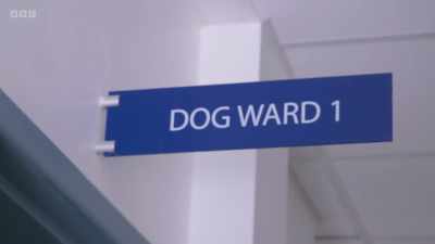 Next into the pet hospital - 24/7 Pet Hospital