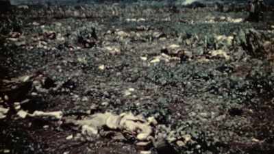 NEXT MORNING, WE FOUND
BETWEEN 35 AND 40 DEAD JAPS. - The Pacific War in Color