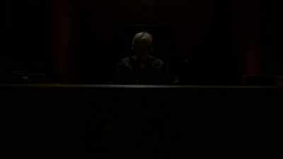 Next to murder, pet cases - Gary Busey: Pet Judge