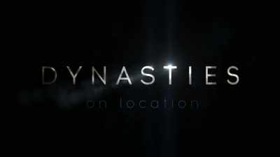 Next time,
a lioness battles against the odds. - Dynasties