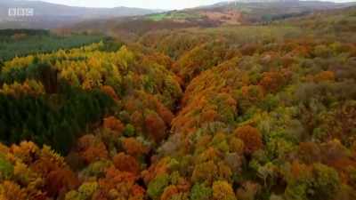 Next time,
it's the season of change. - Wales: Land of the Wild