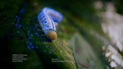 Next time, life's
dark shadow... - One Strange Rock