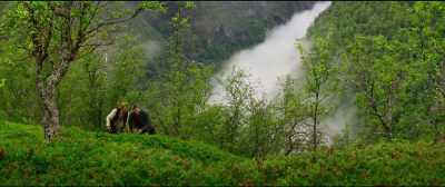 Next time you see a beautiful girl
with a cows tail, continue walking. - The Ash Lad: In the Hall of the Mountain King