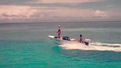 Next year we went back, - Playing with Sharks