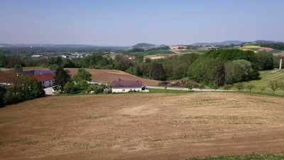 Ney: Austria is incredibly
important to germany - Secret Nazi Ruins