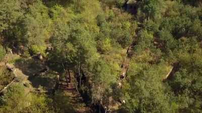 Ney: It's an enormous site,
and that's going to need - Secret Nazi Ruins