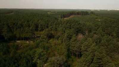 Ney:
When hitler occupies poland, - Secret Nazi Ruins