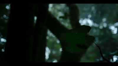 Ngogo is a rainforest. - Chimp Empire