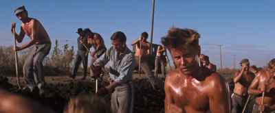 Nice broad. - Cool Hand Luke