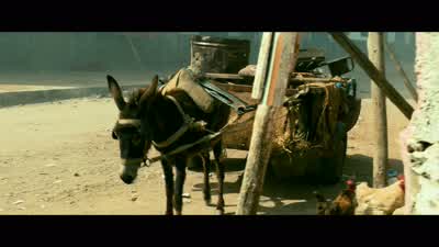 Nice donkey - Black Hawk Down