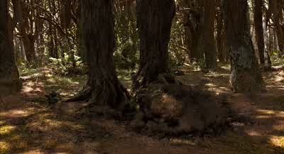 Nice feet. - Bridge to Terabithia