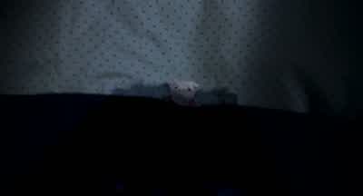 Nice kitty. - Stuart Little